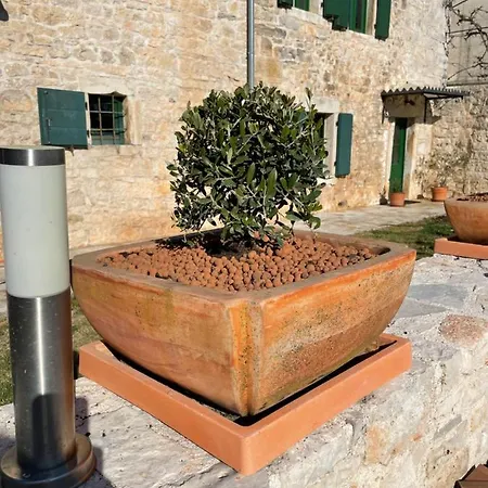 Neroli Place فيلة *